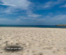 Thumbnail 28